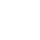 mosquito