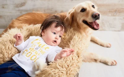 La presentación del nuevo bebé a nuestro perro