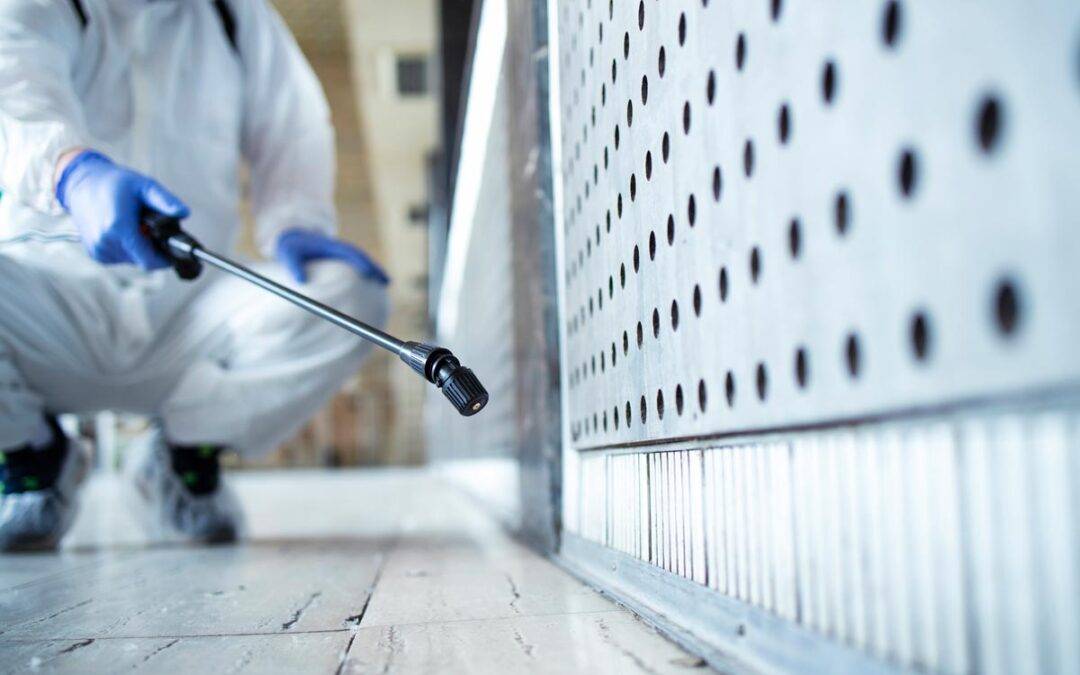 Persona agachada fumigando bajos