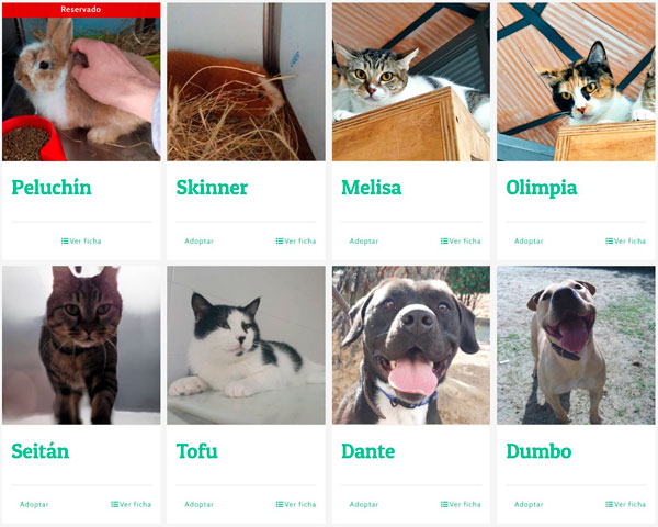 captura_web_adopciones_ok