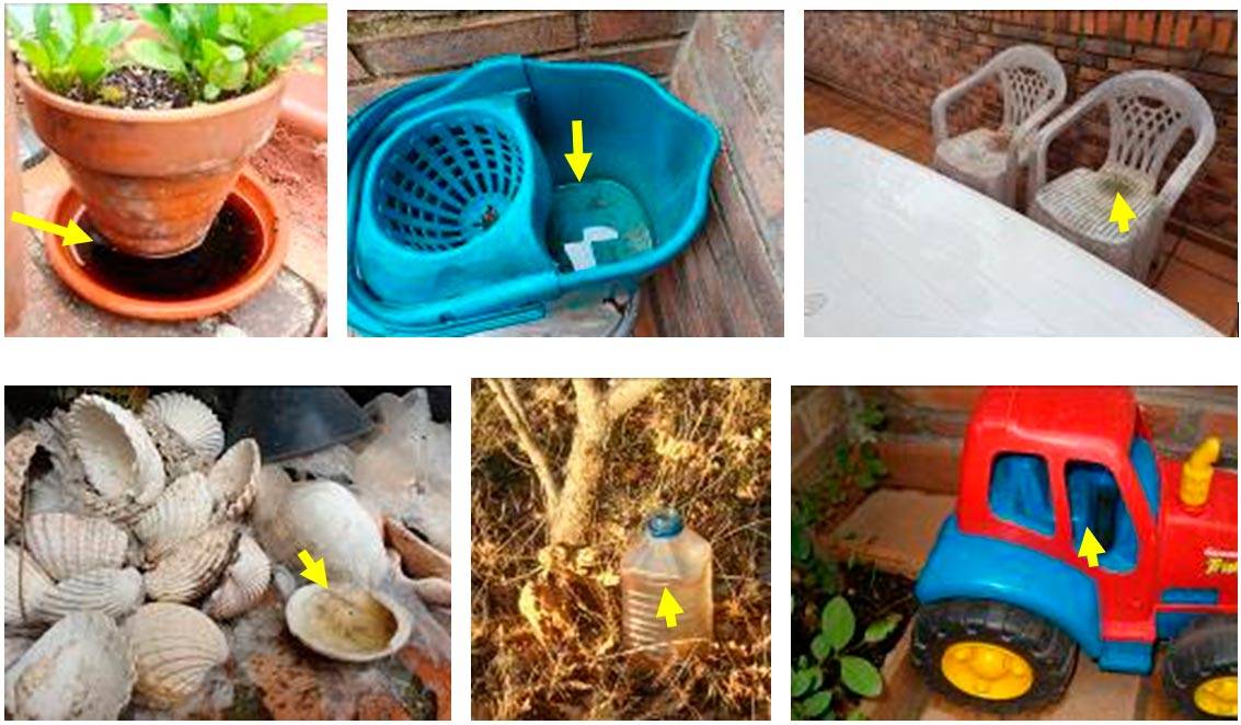 Ejemplo de envases que se deben mantener hacia abajo para prevenir la aparición de mosquitos: tiestos, sillas de exterior, juguetes, etc.