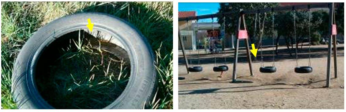 Neumático y columpios donde el asiento es un neumático