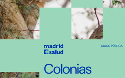 Colonias Felinas. Todo lo que debes saber sobre su gestión en la ciudad de Madrid