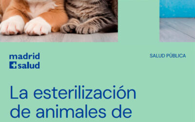 La esterilización de animales de compañía