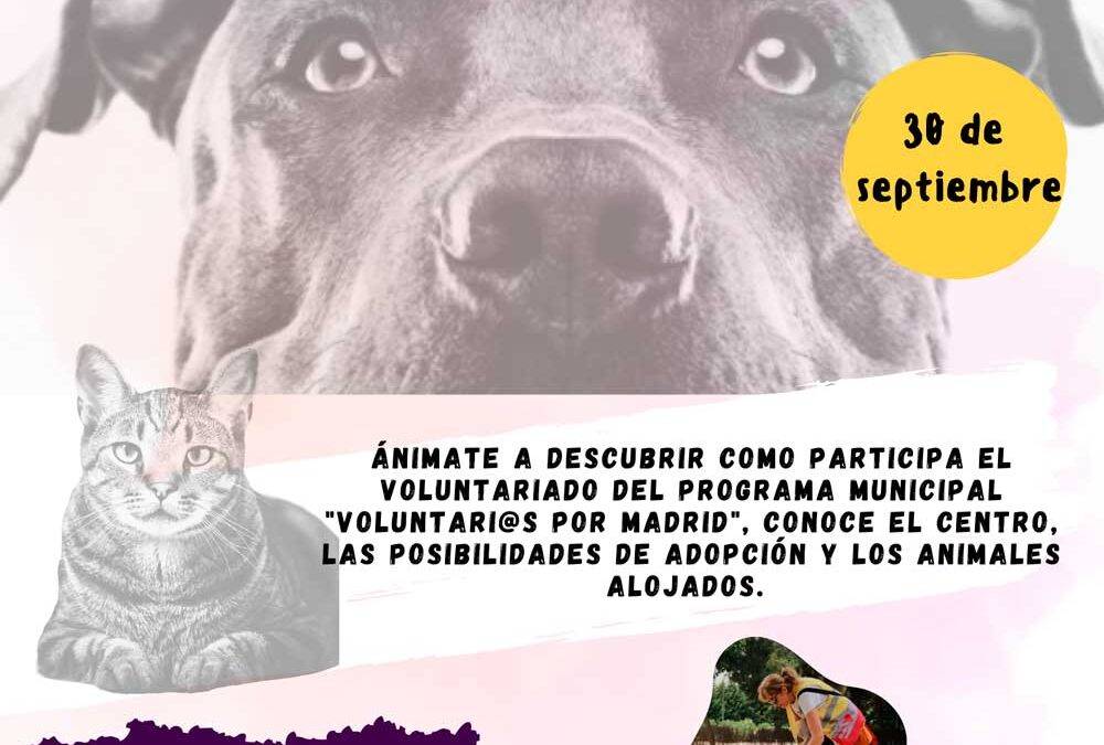 Día de puertas abiertas en el CPA