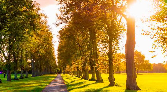 banner-sistema_gestion_ambientalCUA