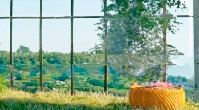 banner_condicionessalubridadCUA