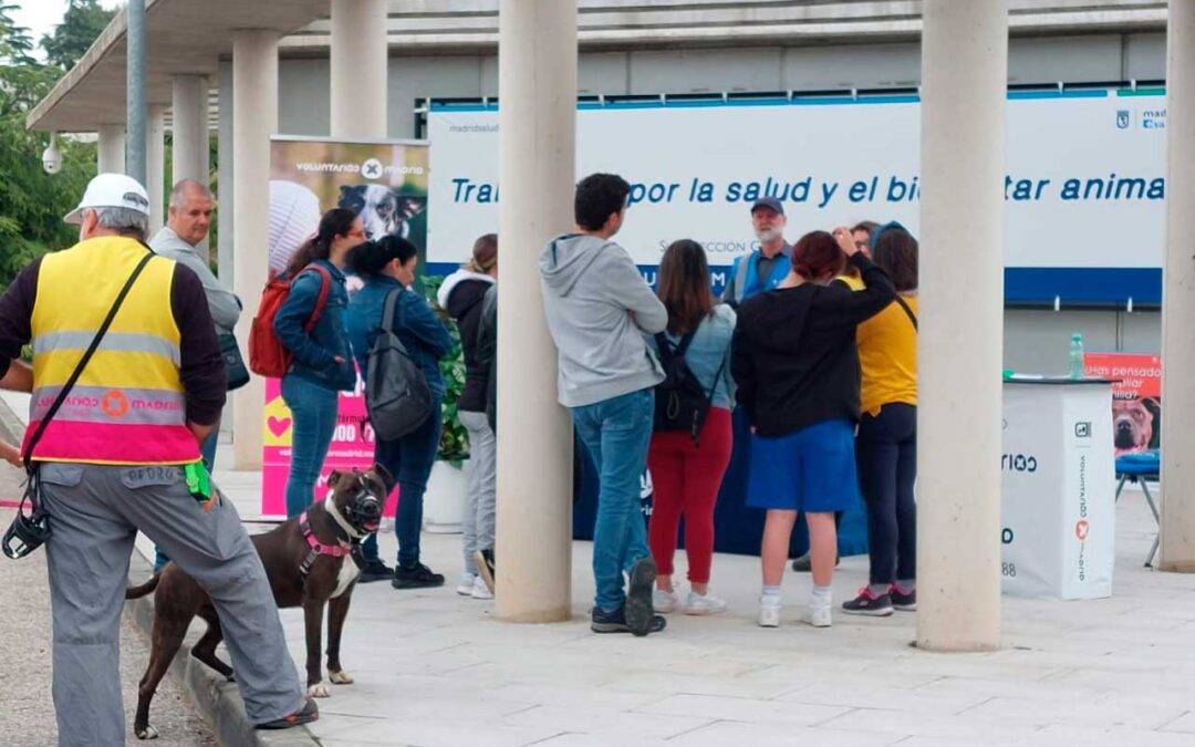 Lleno en la Jornada de puertas abiertas del Centro de Protección Animal
