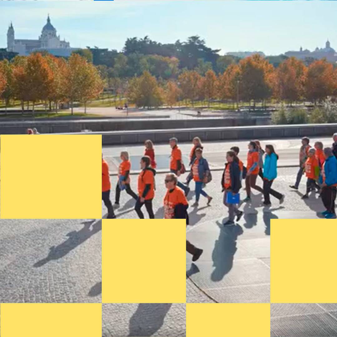 Paseos en compañía