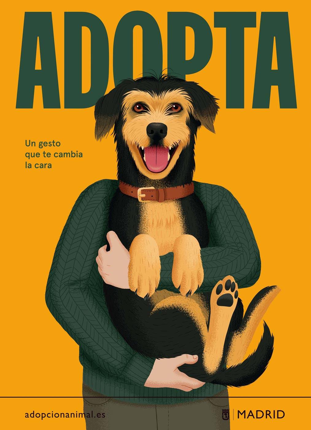 Adopción animal