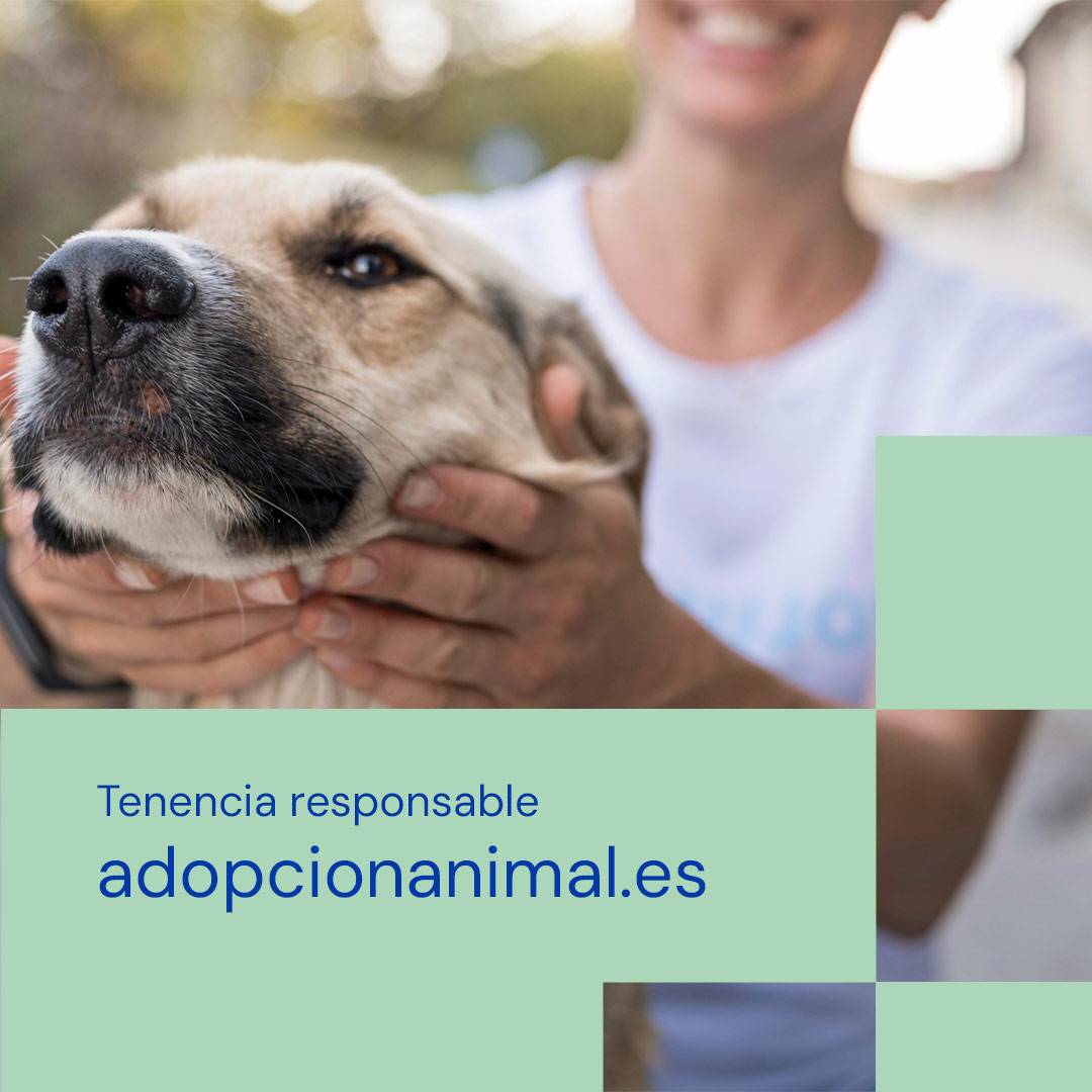 Adopción animal