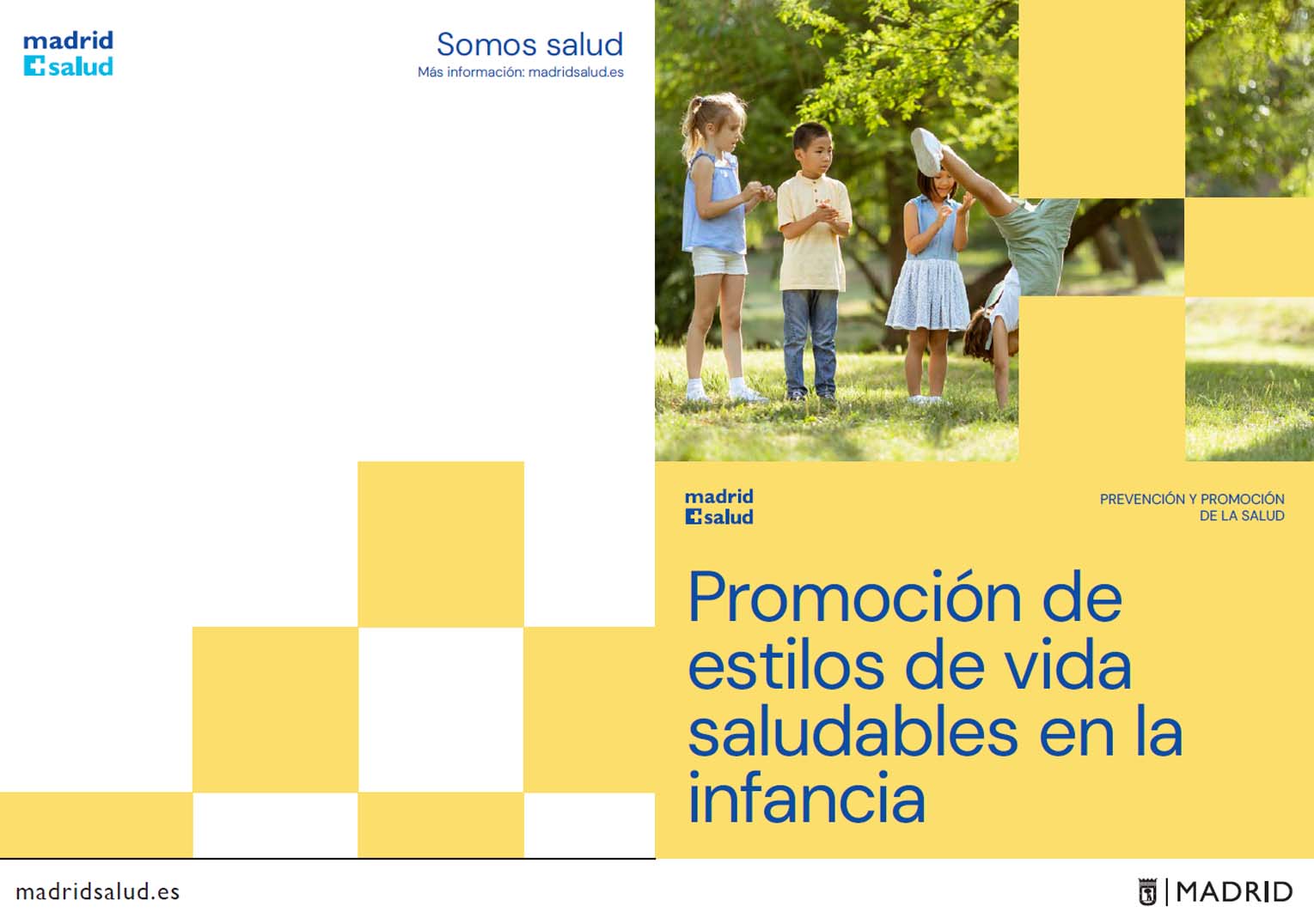 folleto coles con alas