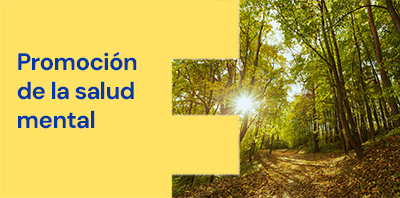 programa salud mental Programa promoción salud mental