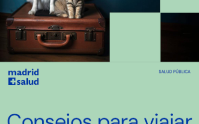 Consejos para viajar con perros y gatos
