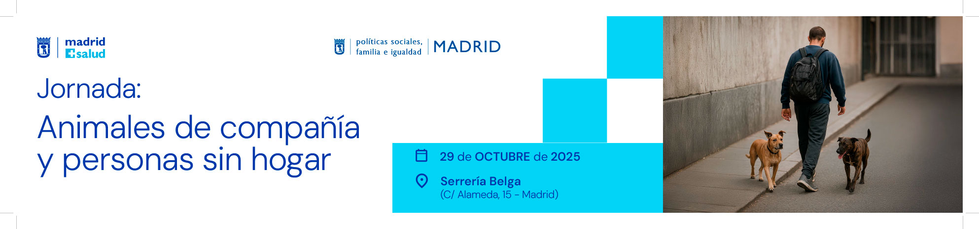 Banner Jornada proyecto JALUS