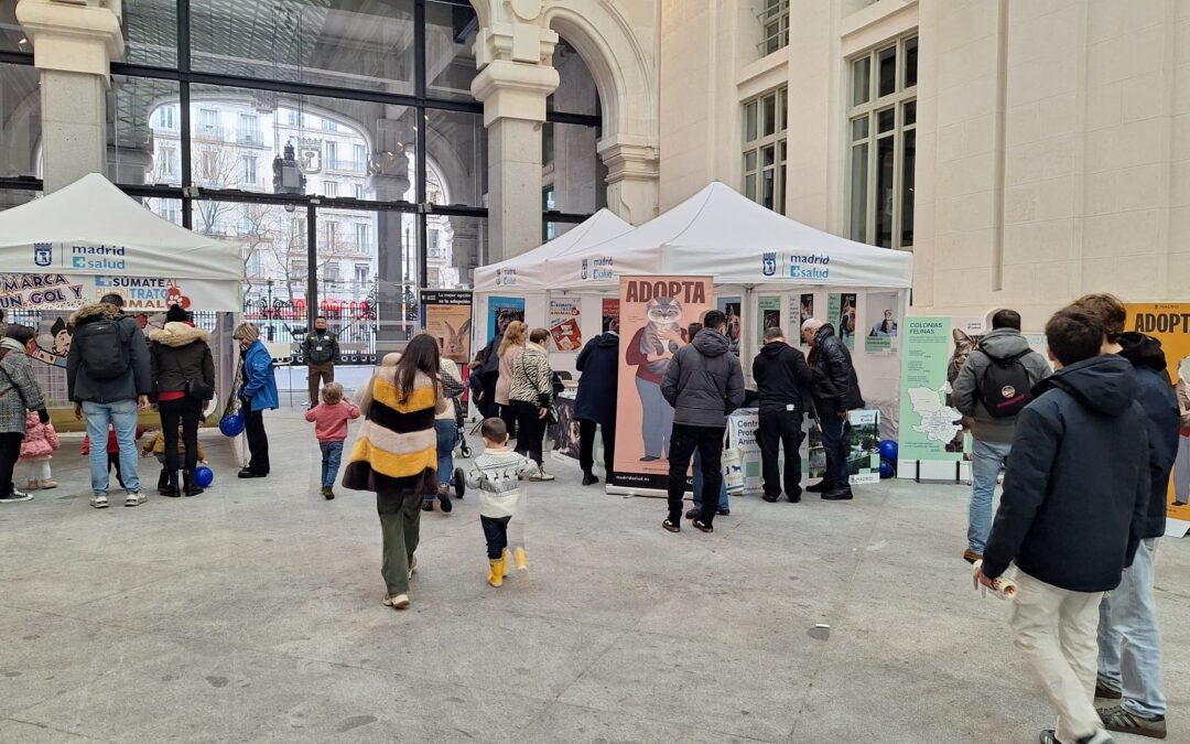 Madrid Salud celebra San Antón con actividades de sensibilización y puertas abiertas en el Centro de Protección Animal
