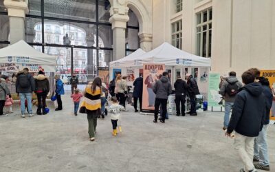 Madrid Salud celebra San Antón con actividades de sensibilización y puertas abiertas en el Centro de Protección Animal